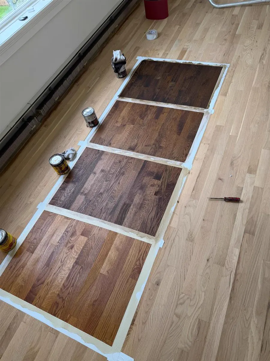 Four stain colors tested side by side on a sanded oak floor